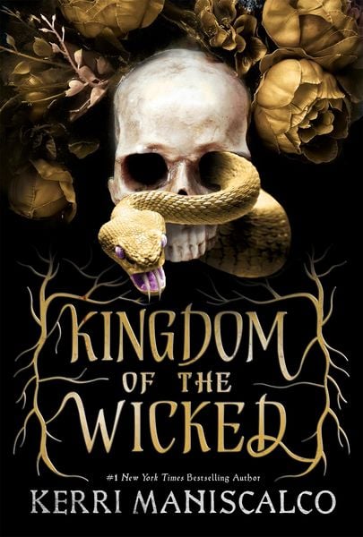 Book cover of Kingdom of the Wicked