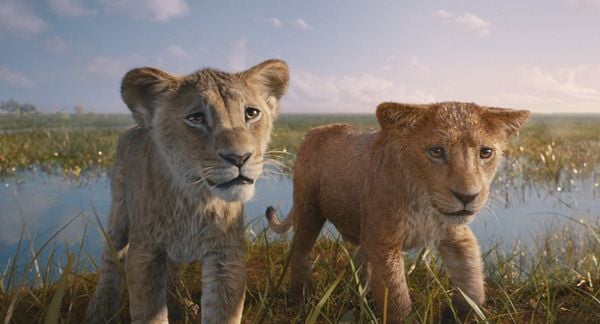 Mufasa - Der König der Löwen