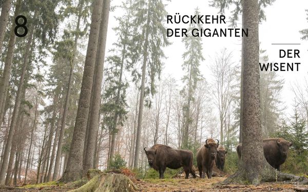 Produktbild: Deutschlands letzte Paradiese