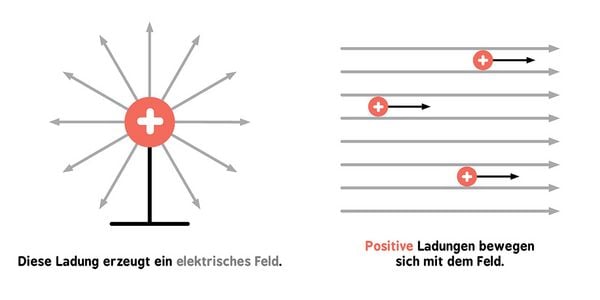 Produktbild: Baby-Universit&auml;t - Elektromagnetismus f&uuml;r Babys
