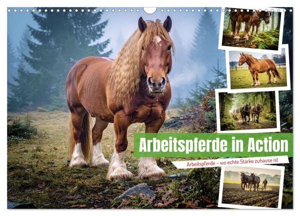 Produktbild: Arbeitspferde in Action (Wandkalender 2027 DIN A3 quer), CALVENDO Monatskalender