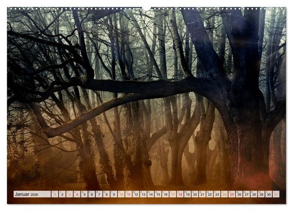 Produktbild: Wald - mystische Spazierg&auml;nge (Wandkalender 2026 DIN A2 quer), CALVENDO Monatskalender