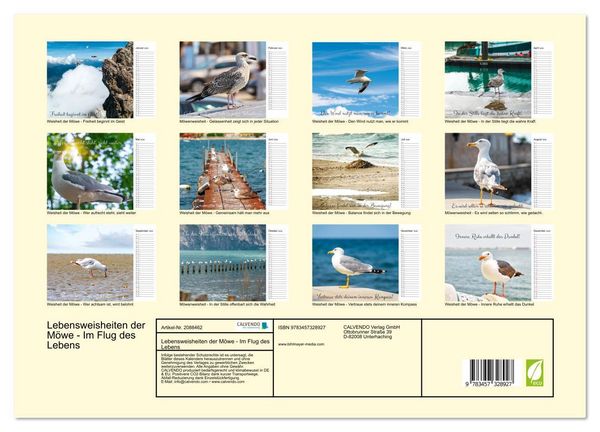Produktbild: Lebensweisheiten der M&ouml;we - Im Flug des Lebens (Wandkalender 2026 DIN A3 quer), CALVENDO Monatskalender