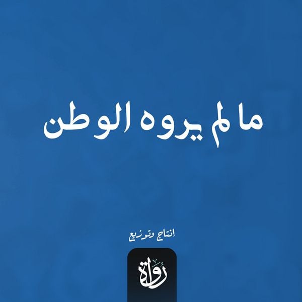 What the homeland did not see - Aisha Adel, Audio, 9786741752644