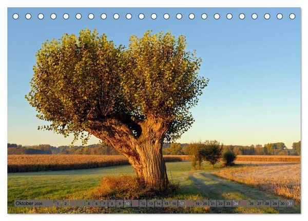 Produktbild: Der Niederrhein im Wandel der Jahreszeiten (Tischkalender 2026 DIN A5 quer), CALVENDO Monatskalender