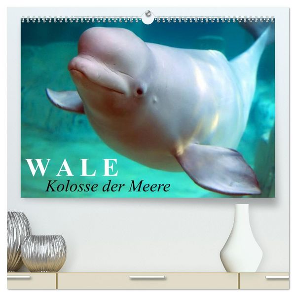 Produktbild: Wale - Kolosse der Meere (hochwertiger Premium Wandkalender 2026 DIN A2 quer), Kunstdruck in Hochglanz