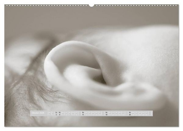 Produktbild: ...so winzig - Babykalender (Wandkalender 2026 DIN A2 quer), CALVENDO Monatskalender