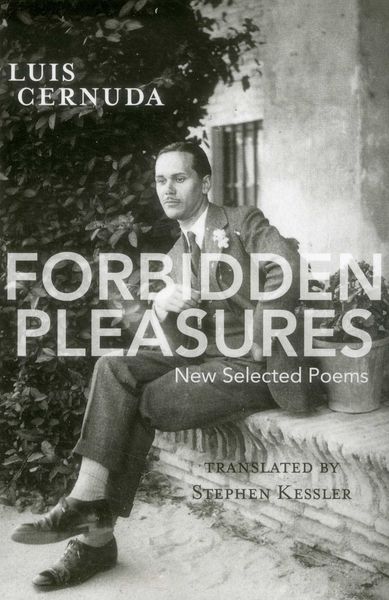 Produktbild: Forbidden Pleasures