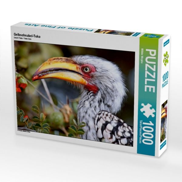 CALVENDO Puzzle Gelbschnabel-Toko | 1000 Teile Lege-Größe 64x48cm Foto-Puzzle für glückliche Stunden