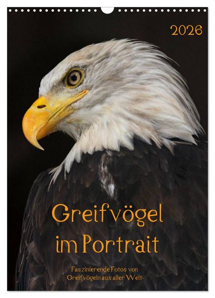 Produktbild: Greifv&ouml;gel im Portrait (Wandkalender 2026 DIN A3 hoch), CALVENDO Monatskalender