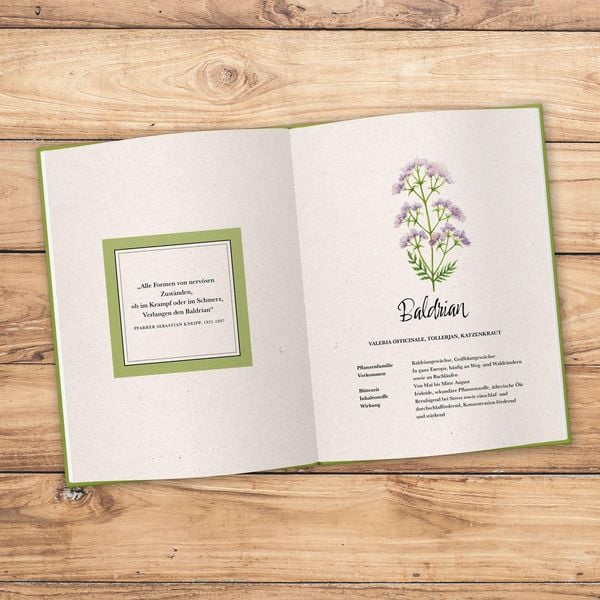 Produktbild: Kostbare Wildkr&auml;uter