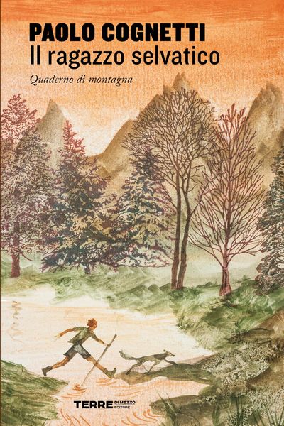 Produktbild: Il ragazzo selvatico