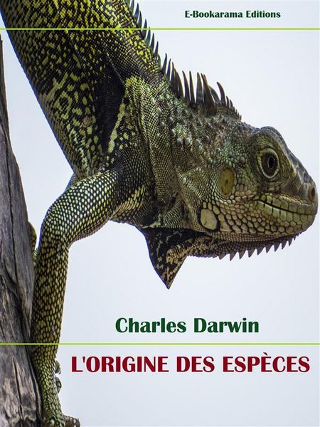 Produktbild: L'Origine des esp&egrave;ces