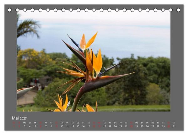 Produktbild: Madeiras Blumenwelt (Tischkalender 2027 DIN A5 quer), CALVENDO Monatskalender