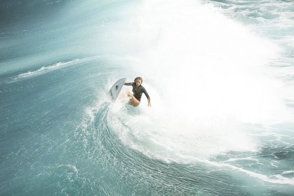 Produktbild: The Shallows - Gefahr aus der Tiefe