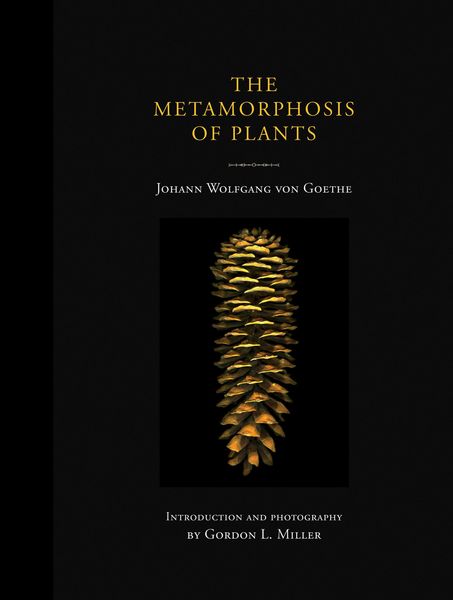 Produktbild: Goethe, J: Metamorphosis of Plants