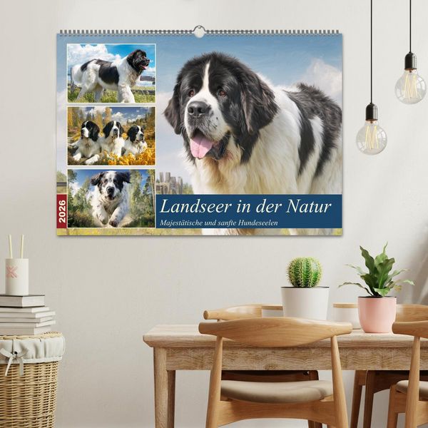 Produktbild: Landseer in der Natur. Majest&auml;tische und sanfte Hundeseelen (Wandkalender 2026 DIN A2 quer), CALVENDO Monatskalender