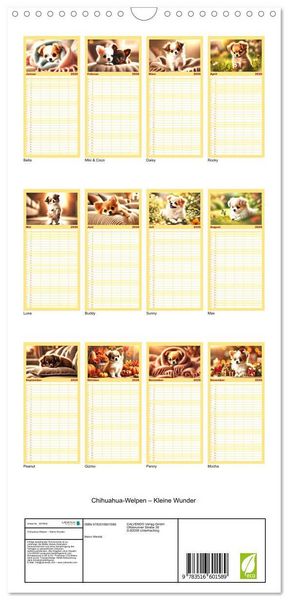 Produktbild: Familienplaner 2026 - Chihuahua-Welpen &ndash; Kleine Wunder mit 5 Spalten (Wandkalender, 21 x 45 cm) CALVENDO