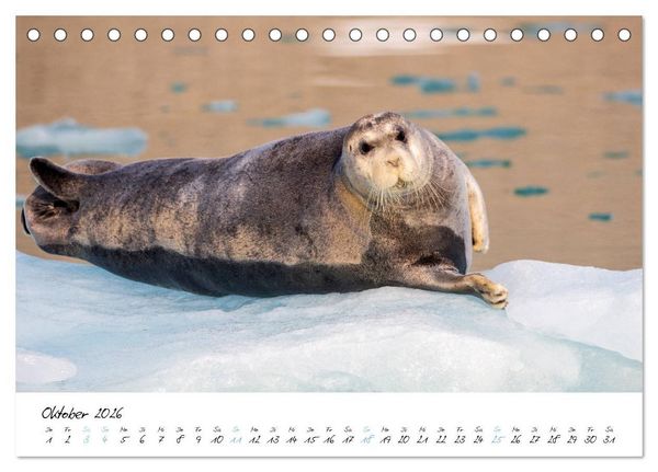 Produktbild: Heike Odermatt: 80&deg; Nord - Fotografien von Spitzbergen und Nordaustland (Tischkalender 2026 DIN A5 quer), CALVENDO Monatskalender