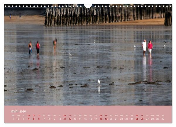 Produktbild: Sillonnez la plage (Calendrier mural 2026 DIN A3 vertical), CALVENDO calendrier mensuel