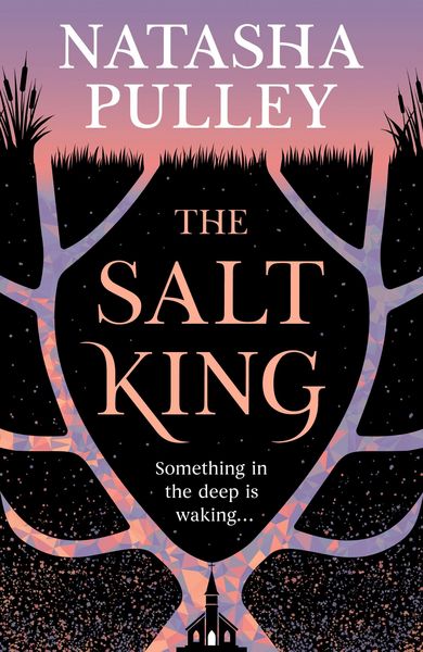 Produktbild: Salt King