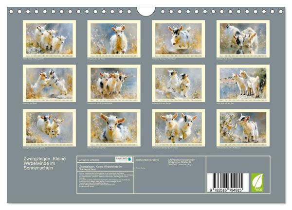 Produktbild: Zwergziegen. Kleine Wirbelwinde im Sonnenschein (Wandkalender 2027 DIN A4 quer), CALVENDO Monatskalender