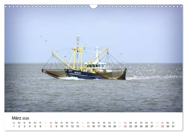Produktbild: sch&ouml;nes Texel (Wandkalender 2026 DIN A3 quer), CALVENDO Monatskalender