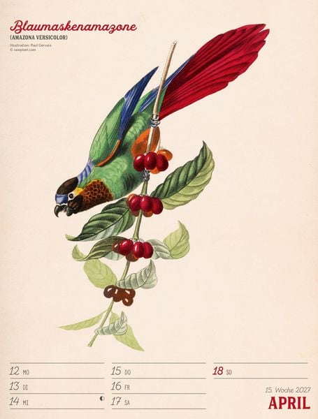 Produktbild: Wunderbare Vogelwelt Wochenplaner Kalender 2027