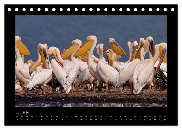 Produktbild: Wilde Tiere Afrikas (Tischkalender 2026 DIN A5 quer), CALVENDO Monatskalender