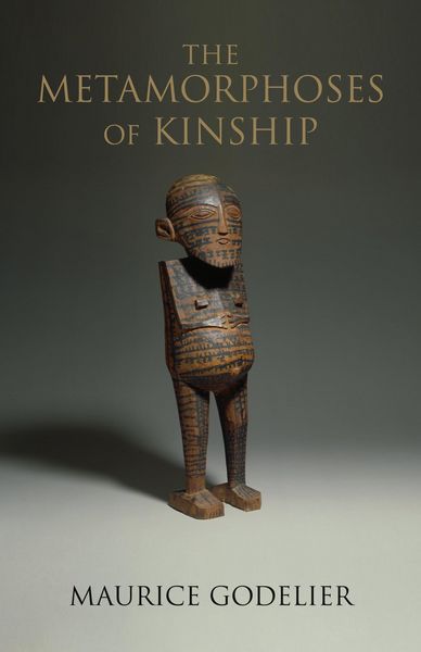 Produktbild: The Metamorphoses of Kinship