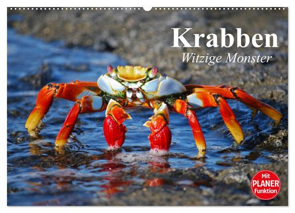 Produktbild: Krabben. Witzige Monster (Wandkalender 2026 DIN A2 quer), CALVENDO Monatskalender