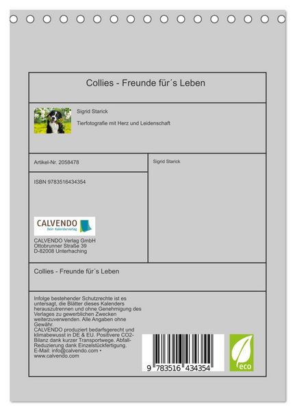 Produktbild: Collies - Freunde f&uuml;r&acute;s Leben (Tischkalender 2026 DIN A5 hoch), CALVENDO Monatskalender