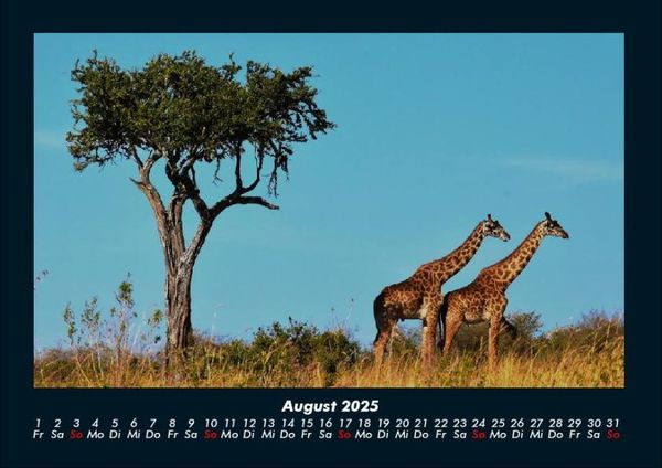 Produktbild: Tiere in der Wildnis 2025 Fotokalender DIN A4