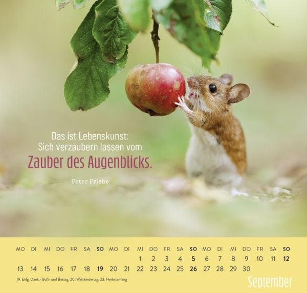 Produktbild: Wandkalender 2027: Kleine Gl&uuml;cksbringer f&uuml;r dein Jahr