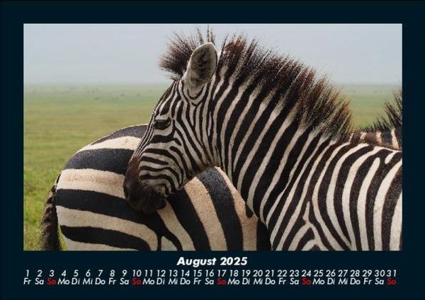 Produktbild: Zebrazauber 2025 Fotokalender DIN A5