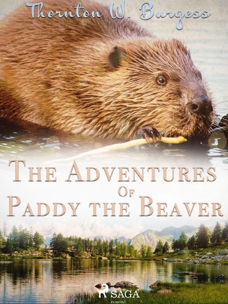 Produktbild: The Adventures of Paddy the Beaver