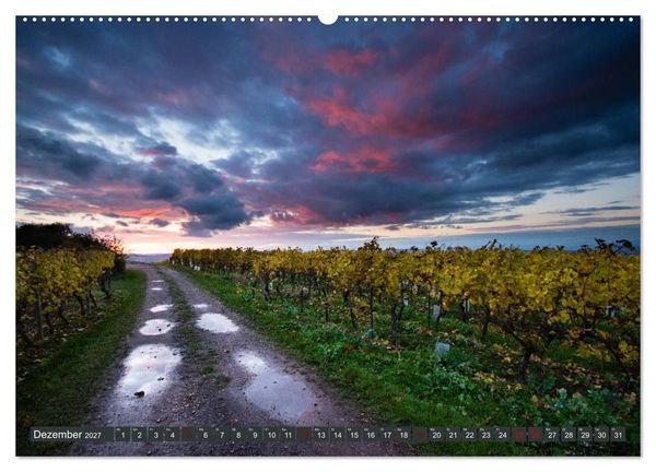 Produktbild: Wein - Landschaften (Wandkalender 2027 DIN A2 quer), CALVENDO Monatskalender
