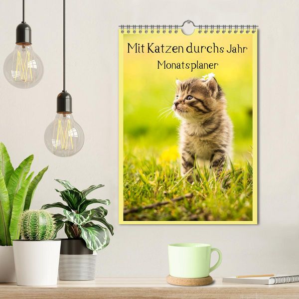 Produktbild: Mit Katzen durchs Jahr / Planer (Wandkalender 2026 DIN A4 hoch), CALVENDO Monatskalender