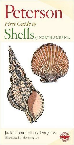 Produktbild: Shells of North America