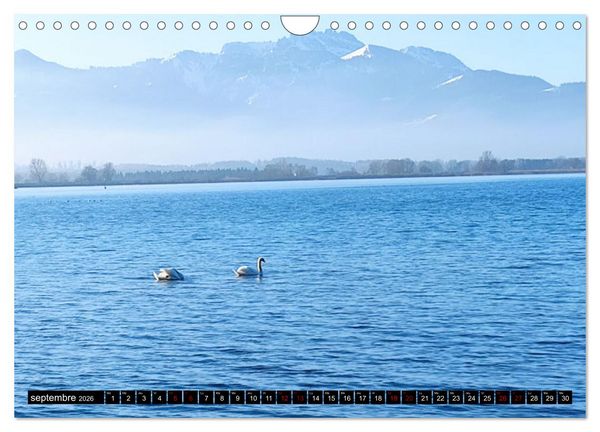 Produktbild: Bons baisers du Chiemsee (Calendrier mural 2026 DIN A4 vertical), CALVENDO calendrier mensuel