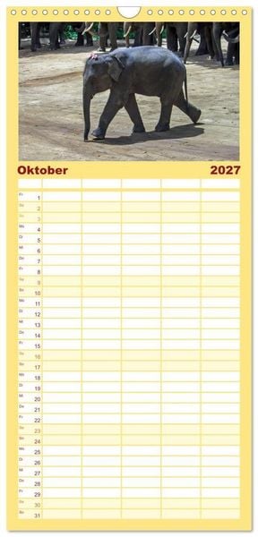 Produktbild: Familienplaner 2027 - Elefanten. Spa&szlig; am Wasser mit 5 Spalten (Wandkalender, 21 x 45 cm) CALVENDO