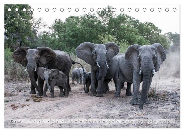 Produktbild: Afrikas Tierwelt Christian Heeb (Tischkalender 2026 DIN A5 quer), CALVENDO Monatskalender