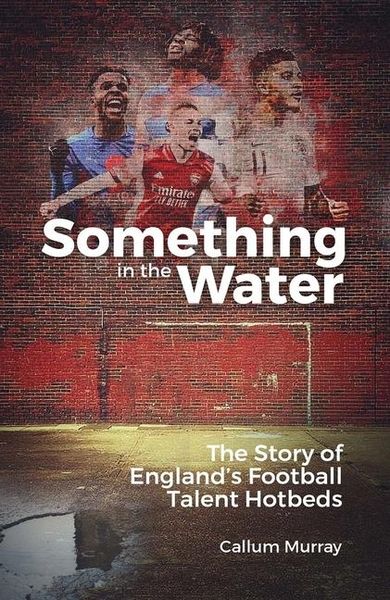 Produktbild: Something in the Water