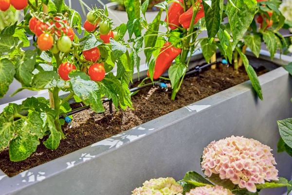 Produktbild: GARDENA Micro-Drip System 13400-20 Bew&auml;sserungs-Komplettset 13mm (1/2\") &Oslash;