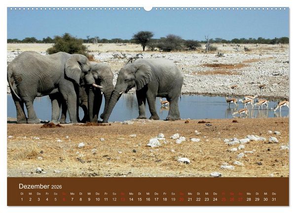 Produktbild: Namibia - faszinierende Menschen und Tiere (Wandkalender 2026 DIN A2 quer), CALVENDO Monatskalender