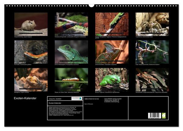 Produktbild: Exoten-Kalender (Wandkalender 2026 DIN A2 quer), CALVENDO Monatskalender