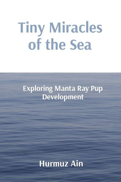 Produktbild: Tiny Miracles of the Sea