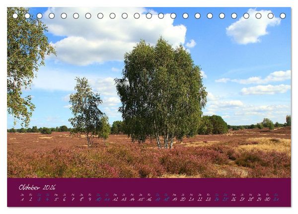 Produktbild: Die Nemitzer Heide - Im Wendland unterwegs (Tischkalender 2026 DIN A5 quer), CALVENDO Monatskalender