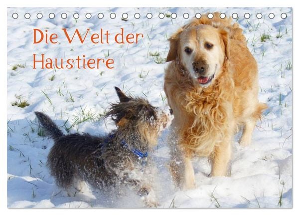 Produktbild: Die Welt der Haustiere (Tischkalender 2026 DIN A5 quer), CALVENDO Monatskalender