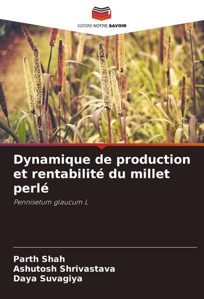 Produktbild: Dynamique de production et rentabilit&eacute; du millet perl&eacute;
